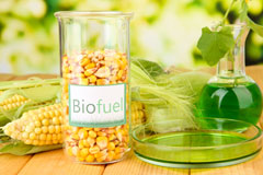Dipley biofuel availability